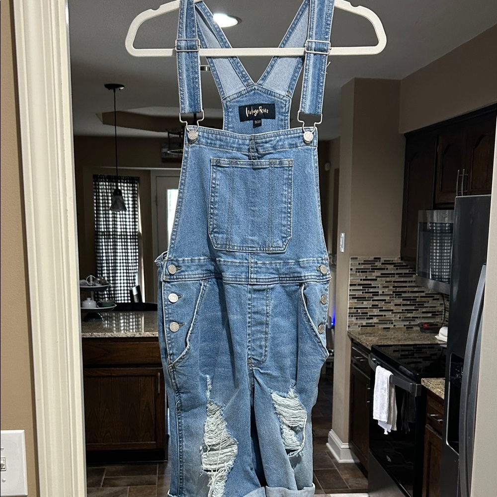 Indigo Rein Light Blue Distressed Overalls